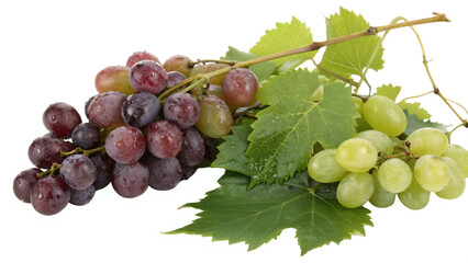 Fototapeta premium A vibrant bunch of red and green grapes with leaves, isolated on a transparent background