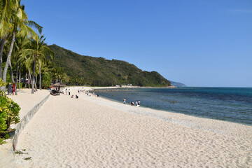 White sand beach with palm trees and blue water