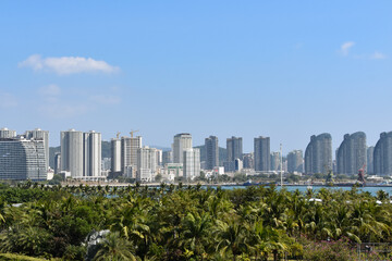 View of Sanya City over the trees