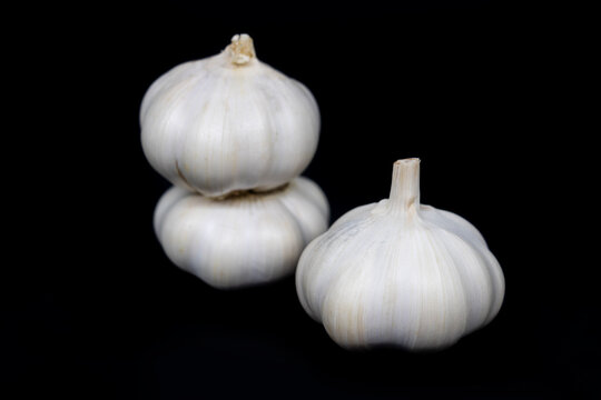 Fresh garlic isolated. Big garlic on black background. White garlic bulb composition. Full depth of field