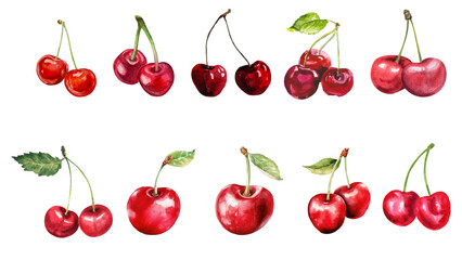 Set of Watercolor cherries vector illustration
