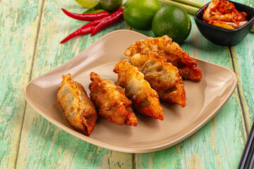 Asian fried stuffed dumplings gyoza