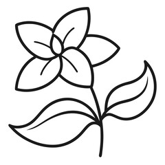 black and white flower