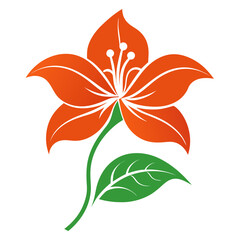 orange flower isolated on white