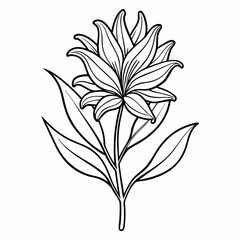 vector illustration of a flower