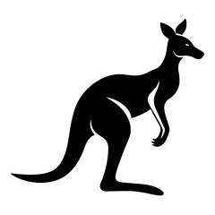 kangaroo vector illustration
