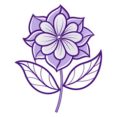  lilac flower isolated on white