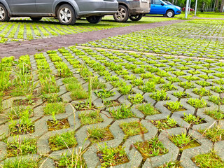 Parking lot with overgrown grass on concrete pavers showcasing nature reclaiming urban spaces in...