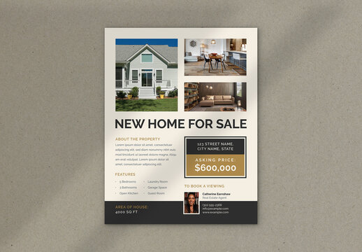 Real Estate Promotional Flyer