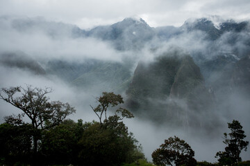 Horizontal view of Machu Picchu in the Mist with leaves in foreground