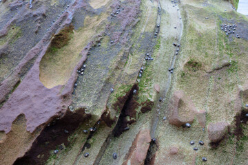 Textured Close-Up of Layered Rock Formation in Santa Cruz, Portugal