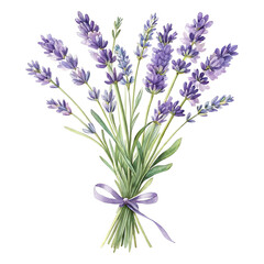 Obraz premium Lavender bouquet, tied with ribbon, isolated on transparent background.