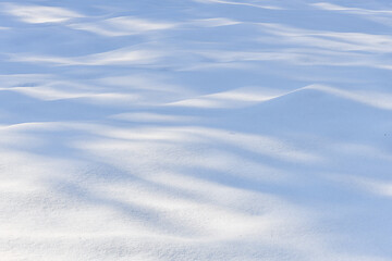 Fresh sparkling wavy snow snowdrifts close-up, perfect as a winter season background or texture