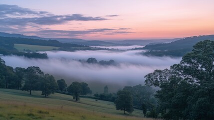 Canister spray substance Breathtaking misty valley at sunrise surrounded by lush green hills, creating a serene and tranquil atmosphere.