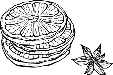 Stacked dried orange slices with star anise. Orange rings arranged in a stack. Aromatic festive garnish. Vector illustration in hand drawn sketch style. Line art isolated on white for coloring book