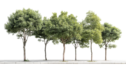 Collection of diverse trees on a white isolated background, ideal for landscape design and nature-themed projects.