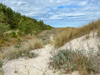 Protected parts of the Baltic coast to preserve vegetation and other natural features. Area around Mrzezyno in Poland