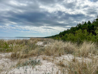 Protected parts of the Baltic coast to preserve vegetation and other natural features. Area around Mrzezyno in Poland