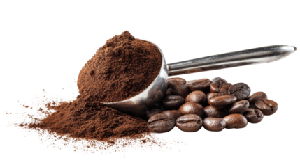 Freshly ground coffee powder in a scoop, surrounded by whole coffee beans.