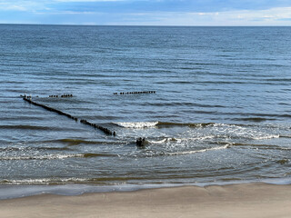 Fototapeta premium Empty Baltic beach in the Mrzezyno area in Poland with characteristic breakwaters made of pegs