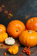 Autumn composition for Thanksgiving Day, still life background. Pumpkin harvest, vegetables, patissons, autumn leaves, red berries on dark wooden table. Fall decoration design. Close up.