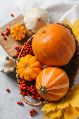 Autumn composition for Thanksgiving Day, still life background. Pumpkin harvest in basket, patissons, autumn leaves, red berries on white kitchen table. Fall decoration design. Top view, flat lay.