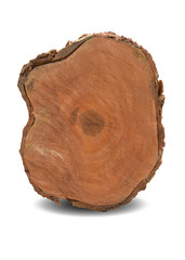 cross section of tree stump isolated on white background. This has clipping path.