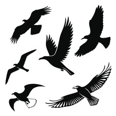 set of silhouettes of birds