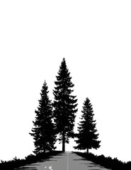 Fototapeta premium Silhouetted trees at night, dark path