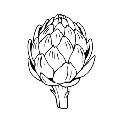 A dried artichoke, with an architectural form and intricate layers, showcasing its unique natural structure.
