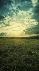 Scenic Meadow Landscape with Sunlight and Clouds