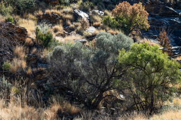 Paysage aride et montagneux de la Namibie durant l'hiver australe