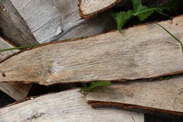 Close-up of wooden planks creating a natural texture and pattern