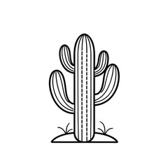 cactus vector illustration