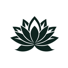 lotus flower isolated on white background