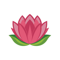 lotus flower vector illustration