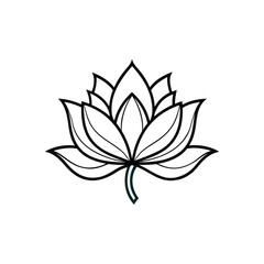 vector illustration of a lotus flower