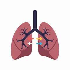 Minimalist design shows lungs with arrows for airflow, highlighting their respiratory function clearly