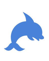 dolphin isolated on white background