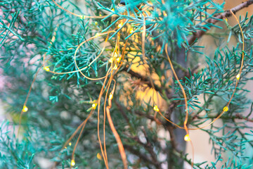 Tiny golden lights twinkle along the copper wire, creating a festive ambiance. Garlands evokes a...