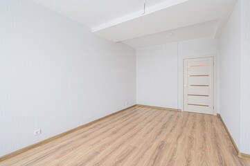 bright, empty room with white walls, a light wood floor, and a door with horizontal panels