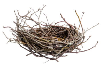 Detailed close-up of an empty bird nest crafted from twigs against black background