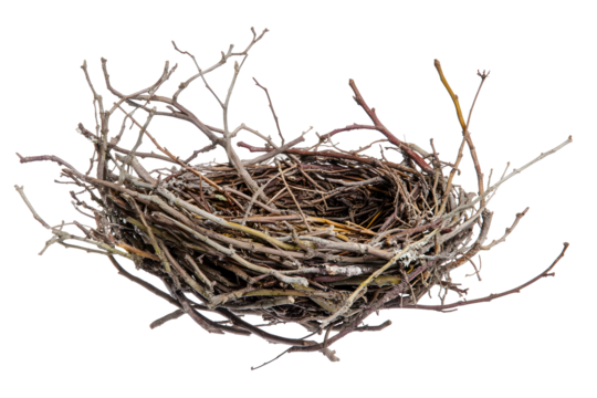 Detailed close-up of an empty bird nest crafted from twigs against black background