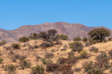 Paysage aride et montagneux de la Namibie durant l'hiver australe