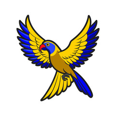 blue and yellow macaw parrot in flight with wings spread