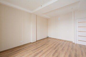 Bright, empty room with light beige walls, wood-look flooring, and a white door. Clean and modern