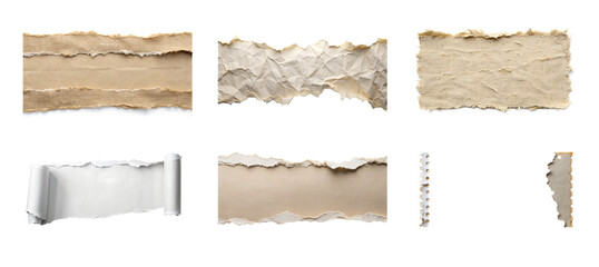 PNG torn paper bundle, A selection of crumpled and torn paper pieces, some rolled, isolated on white isolated on transparent background