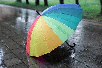 Colorful umbrella on wet asphalt outdoors, closeup