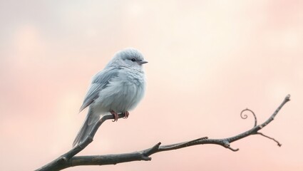 Fototapeta premium A small fluffy bird perched delicately on a slender branch against a soft pastel background scene