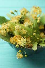 Branches with linden flowers and green leaves in bowl on turquoise wooden table, closeup